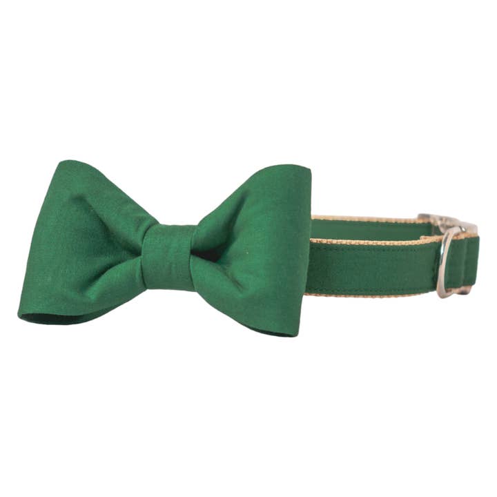 Kelly Green Bow Tie Dog Collar for wholesale by Crew LaLa
