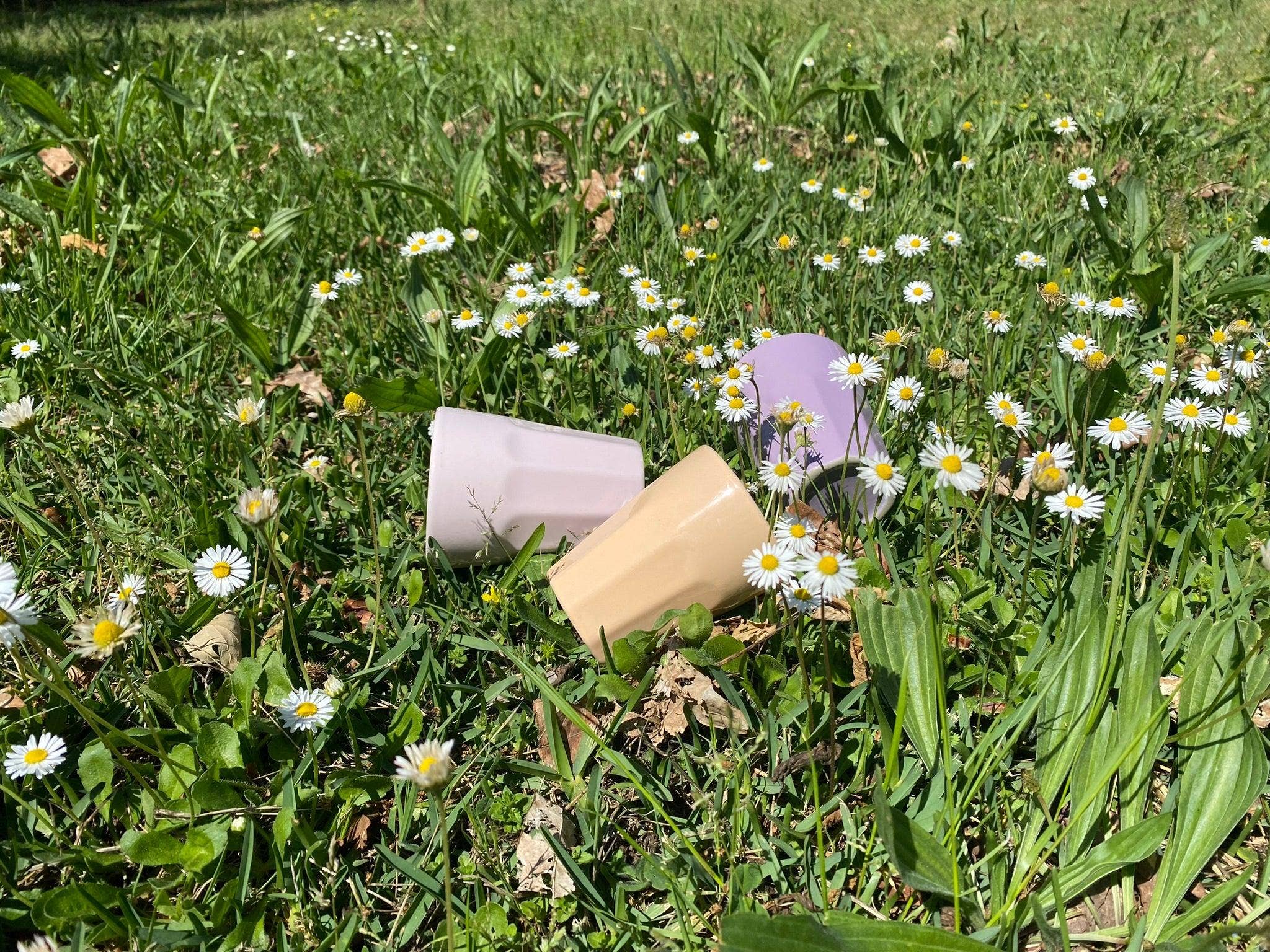 TERREA HOME - Wholesale Drinking Glass/Cup - Kicus Cups Set Of 2 - 150ml4