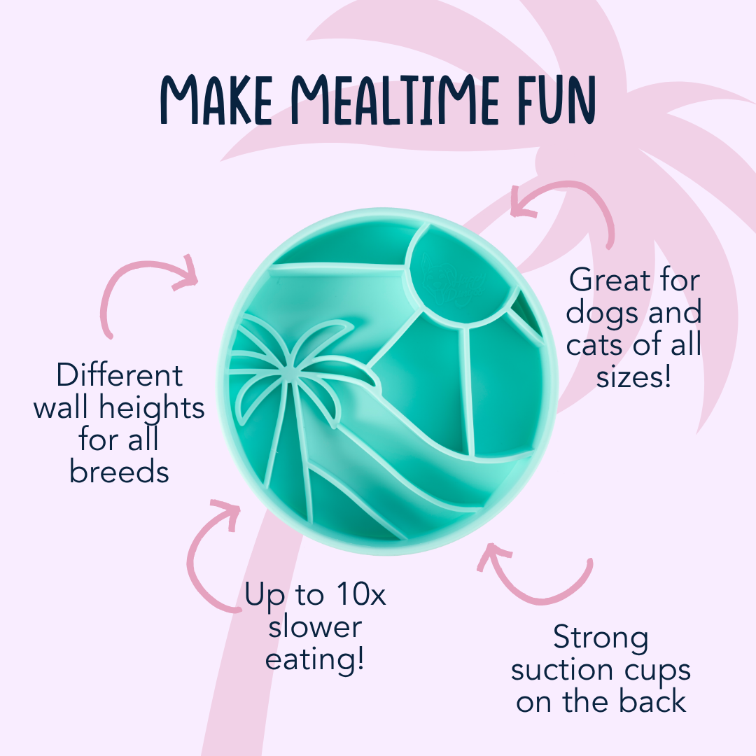 Happy Dingos - Wholesale Pet Bowl - Cat/Dog - Loco Coco Interactive Slow Feeder Bowl 3