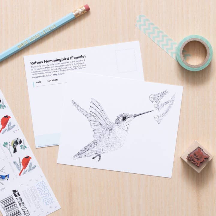 Rufous Hummingbird Art for wholesale by Coy Ink Studio