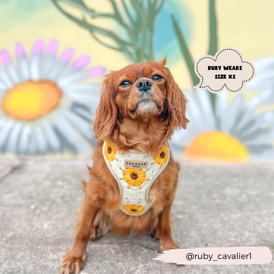 Cocopup London - Wholesale Pet Harness - Dog - Sunflower Patch Adjustable Neck Harness4