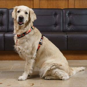 FINNERO – Arnês – Cão por atacado – FINNERO CAMOCOLOR peitoral Y ajustável para cães, 3 cores12