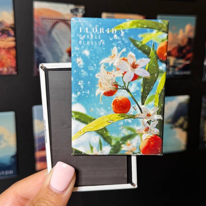 Aimant de fleur de l'État de Floride - Motif de fleur d'oranger pour la vente par Tieu Magnetic