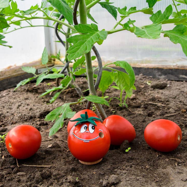 Funny Incense Smoker Tomato for wholesale by Marketplace24