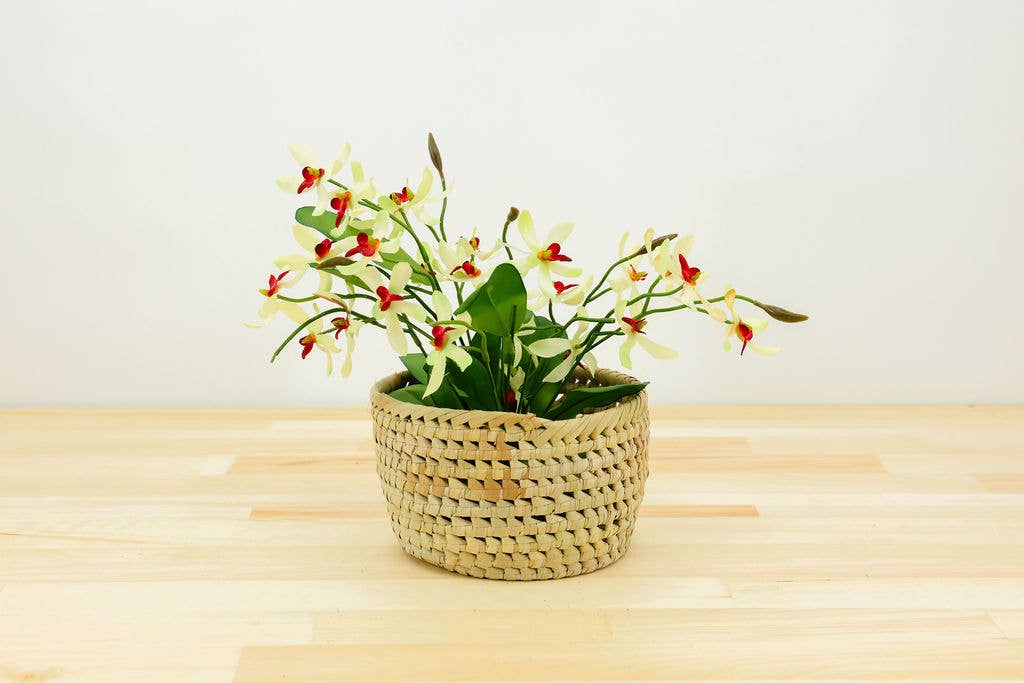 Gitzell FairTrade - Wholesale Plant Pot - Potted Planter, palm leaf3
