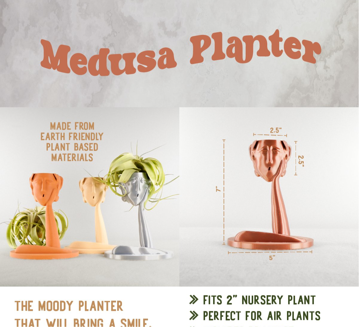 Rosebud Homegoods - Vente Pot - Jardinière Tête Méduse Air7