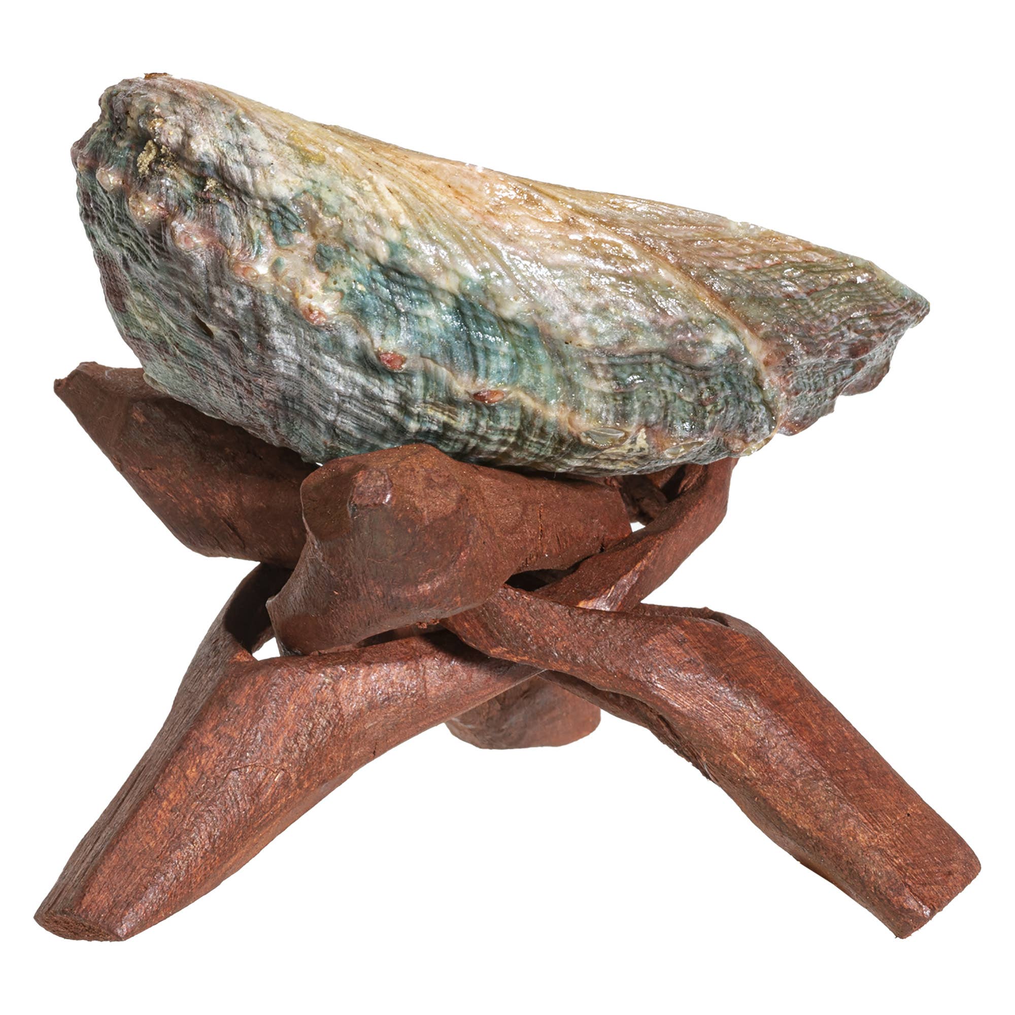 Pacific Trading - Wholesale Smudge Plate - Abalone Smudge Shell With Tripod Stand 4"1