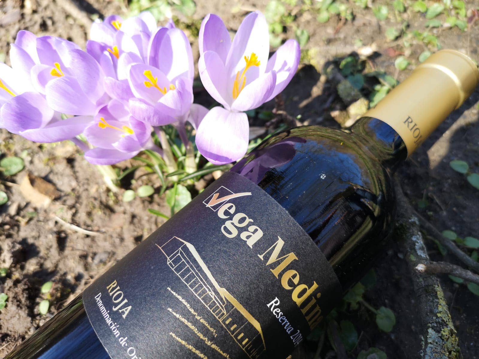 Viñedos y Bodegas Lyng – Engroshandel Rødvin – Reserva D.O.C. rødvin Rioja Vega Medina3