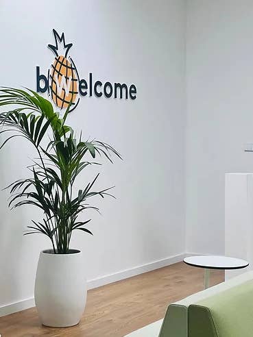 Goutte Haute pour la vente par Branca de Neve Home Jungle