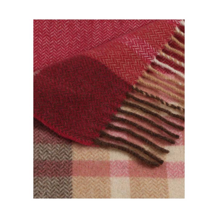 SOFIA TOSCANO - Wholesale Throw Blanket - Fara Dis 10017