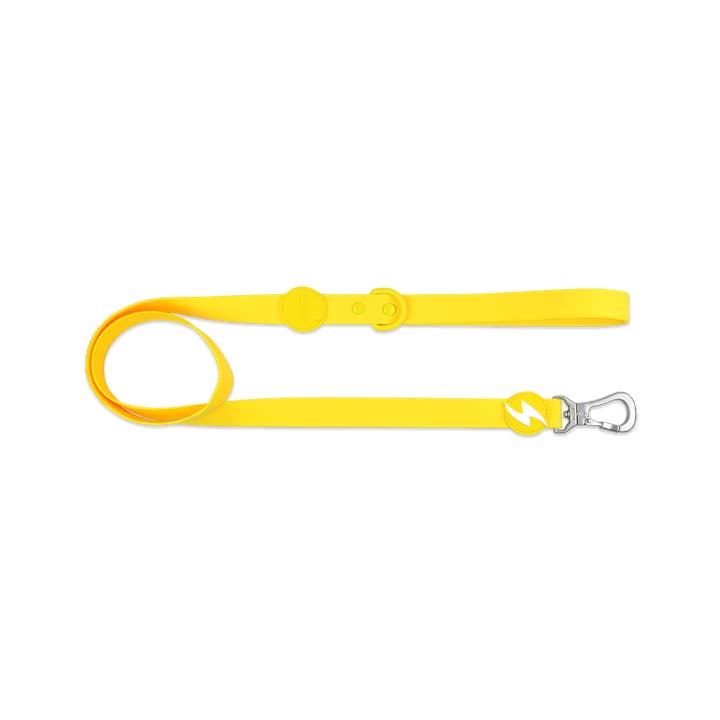 Colorflex Yellow Leash for wholesale by DASHI