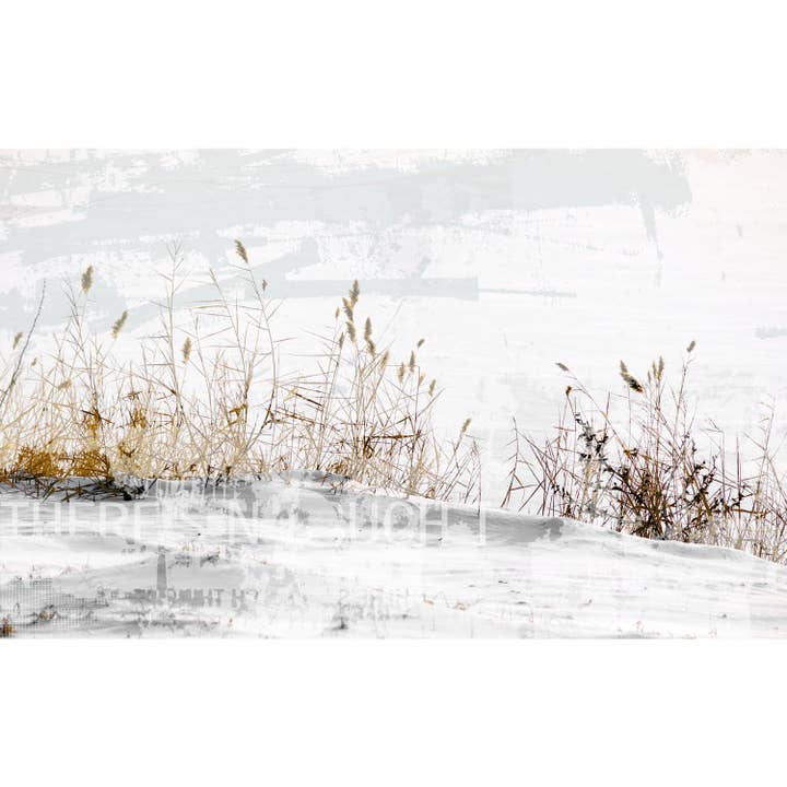 Leinwandbild - Maxima für den Großhandel von Queence