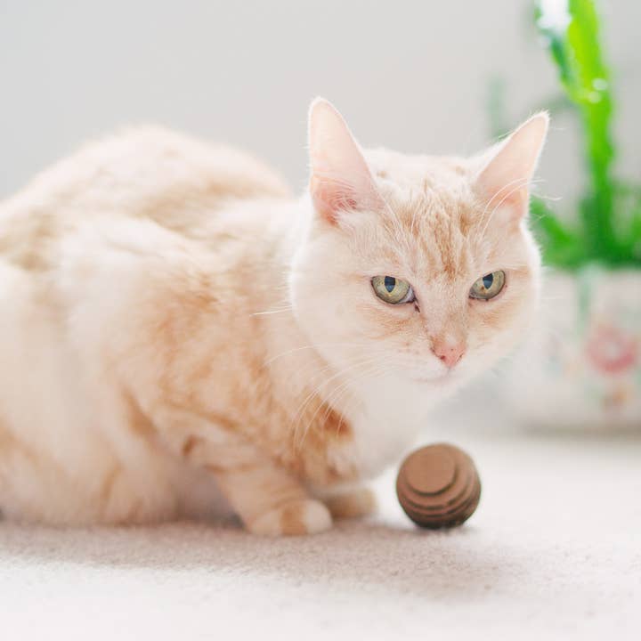 Americat Company - Wholesale Pet toy – Cat - Cat Toy Balls - Made in USA, Eco-friendly5