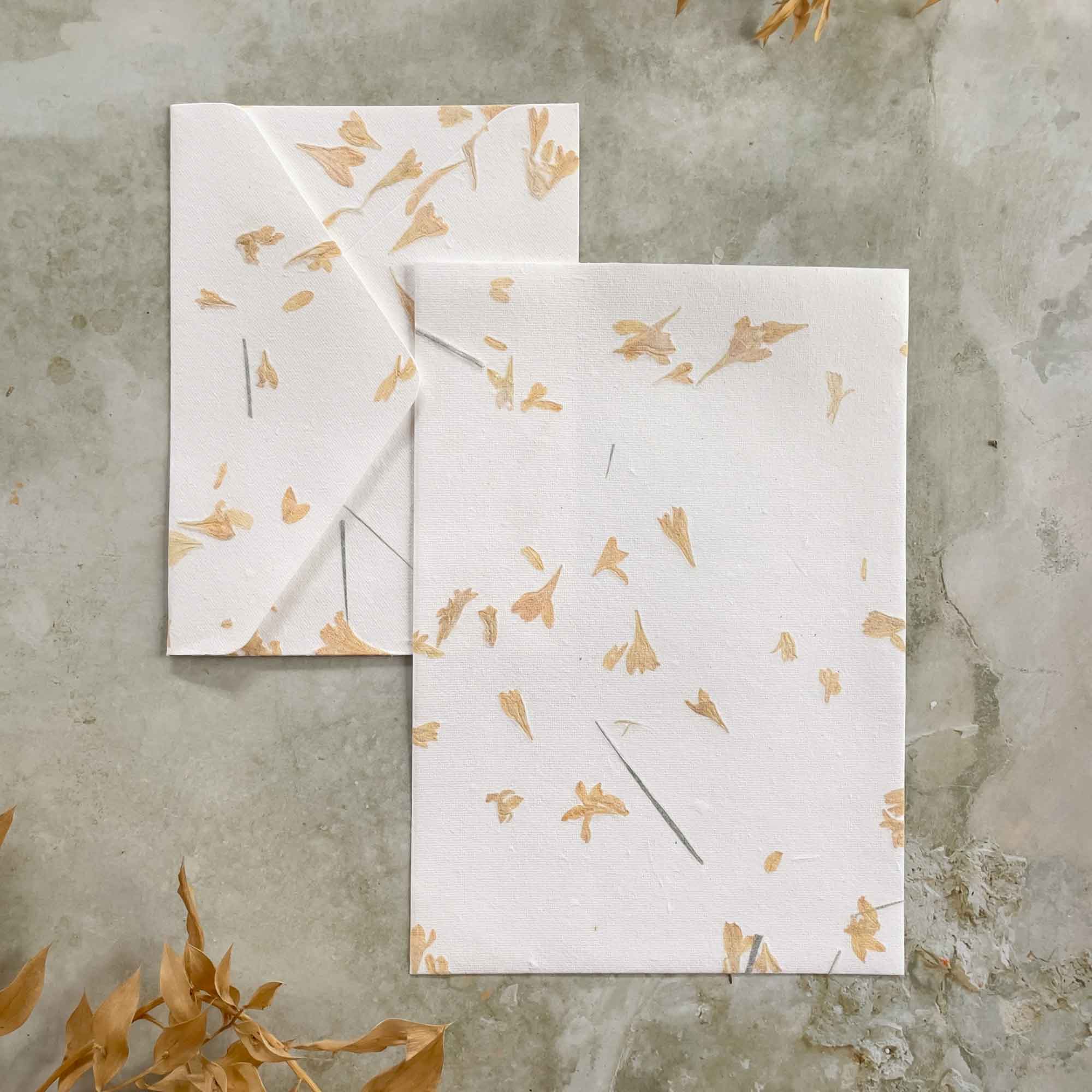 The Natural Paper Company – wholesale Stationery/notecard set – Gaillardia - Flower Handmade Paper and Envelopes | Recycled 2