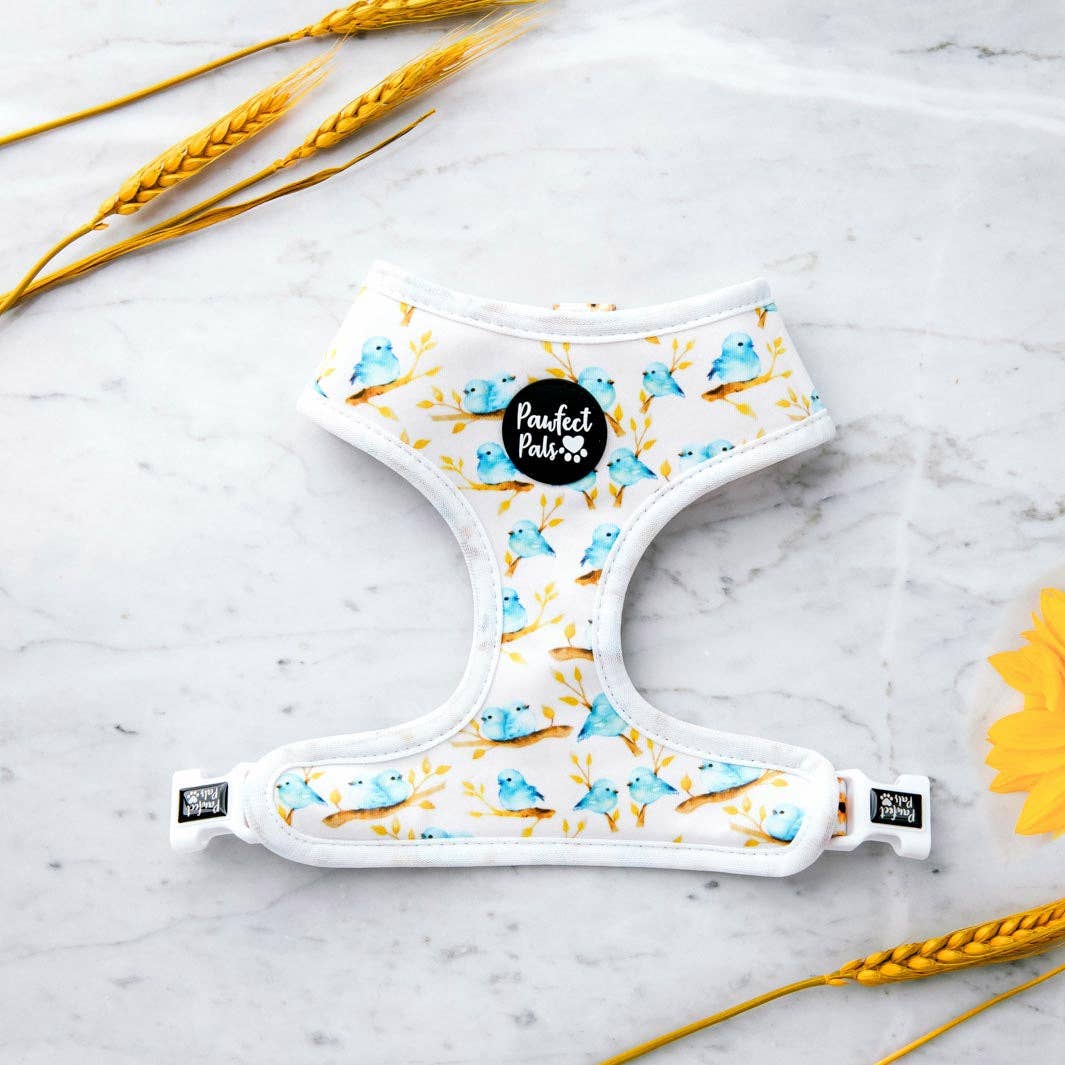 Pawfect Pals – Arnês – Cão por atacado – Sunshine on my Mind - Arnês Reversível para Cão5