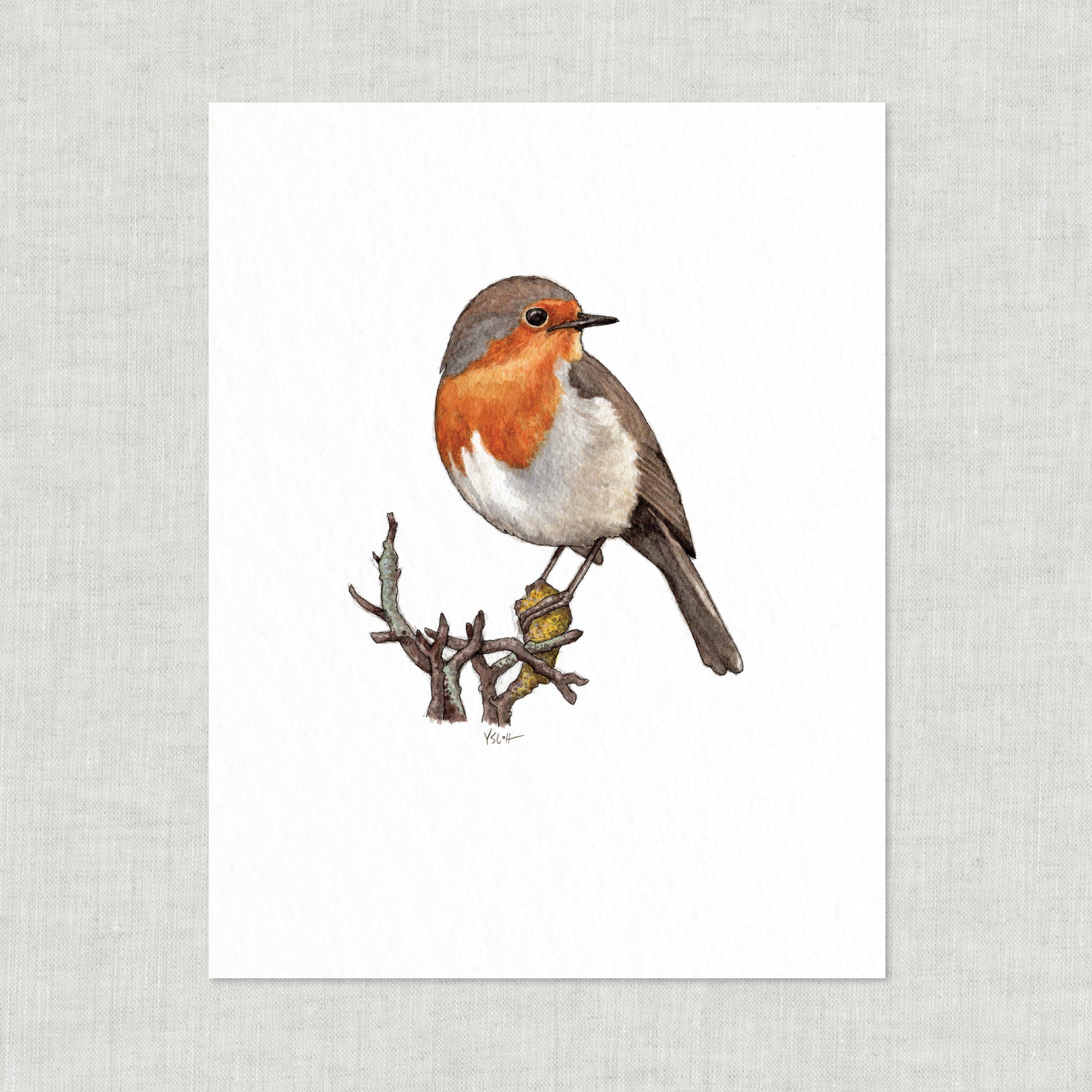 Yeesan Loh - Wholesale Art Print - Prints / Birds . Robin2