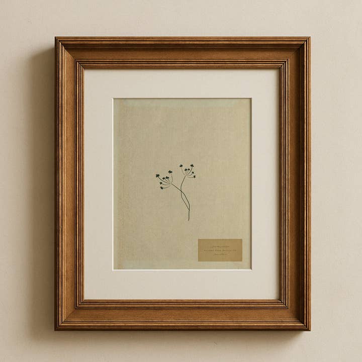 Stampa su Tessuto Botanic IV per la vendita all'ingrosso da parte di Lauren Fuhr Design Co.