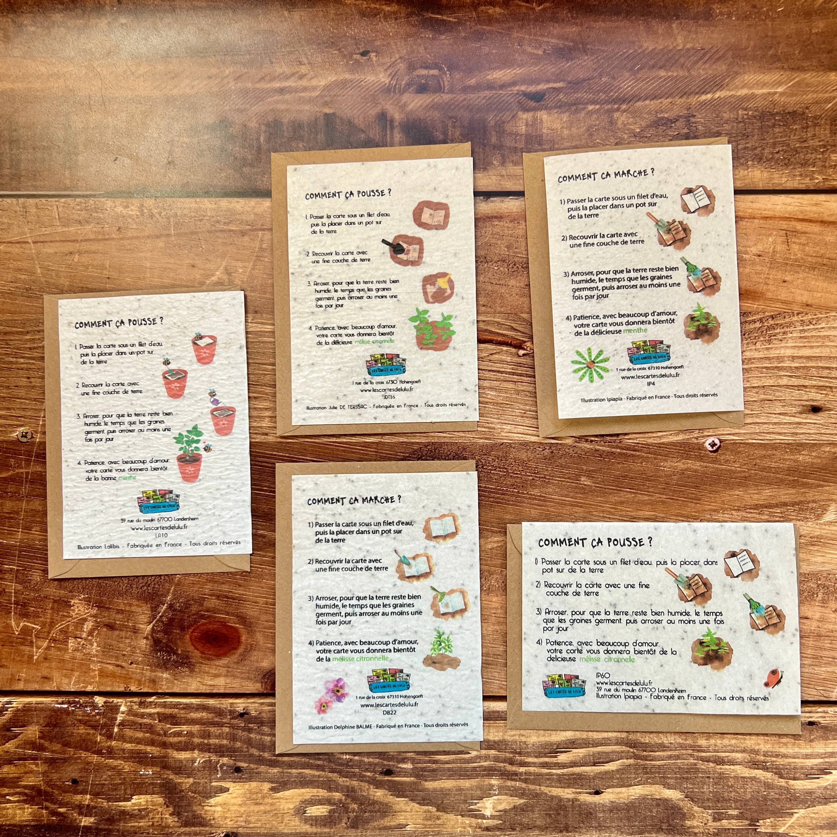Les cartes de Lulu - Wholesale Everyday Greeting Card - Plantable card infusion tea herbal tea - (3x5 model)2