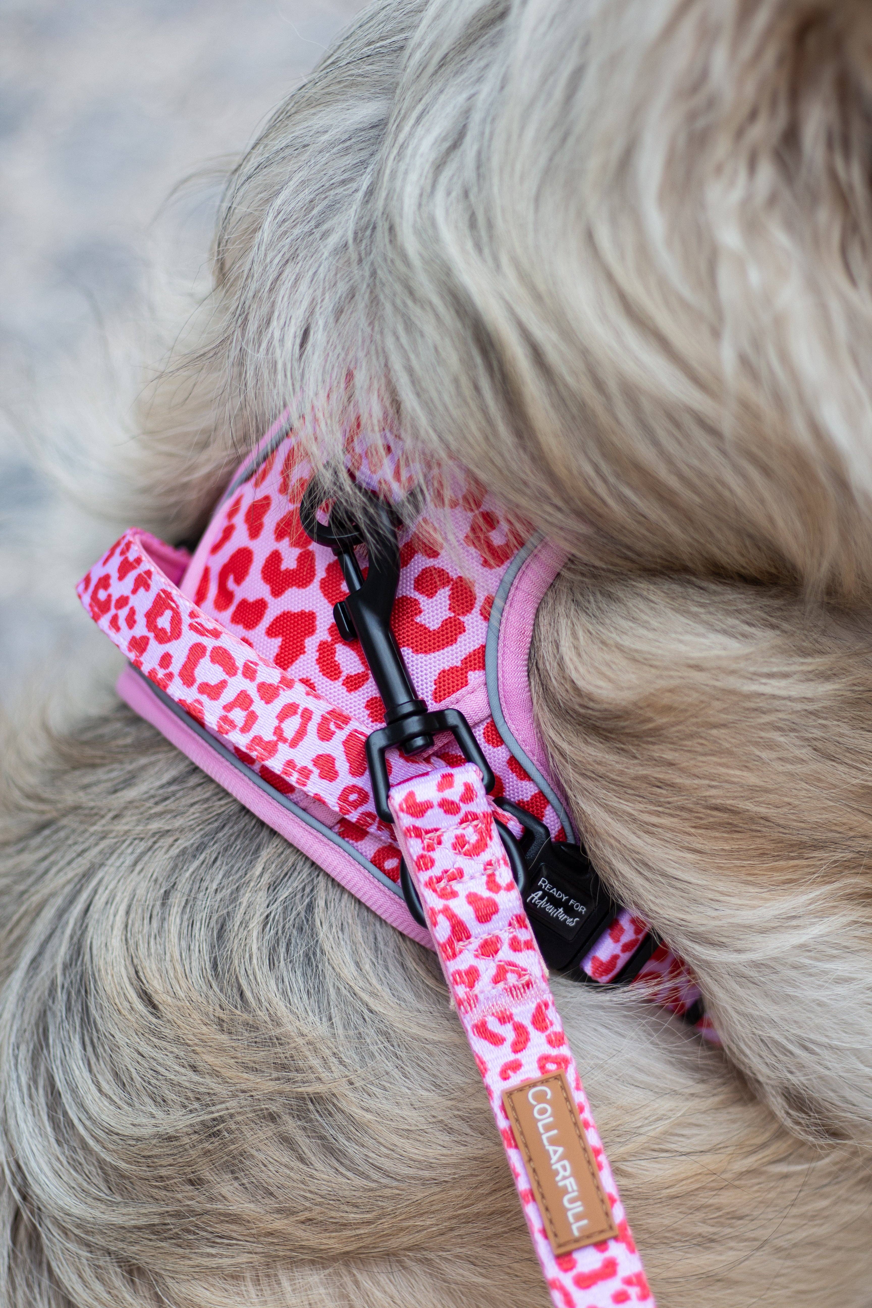 Collarfull – wholesale Pet collar – Dog – Adjustable Dog Leash - Pink Panther6