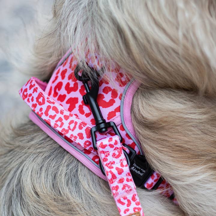 Collarfull - Wholesale Pet Collar - Dog - Adjustable Dog Leash - Pink Panther6
