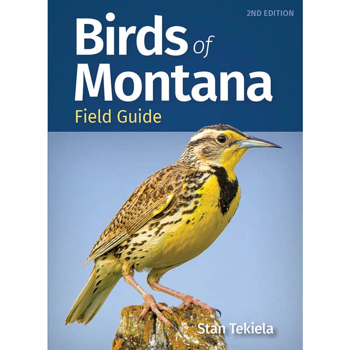 Birds of Montana Field Guide 2e for wholesale by AdventureKEEN