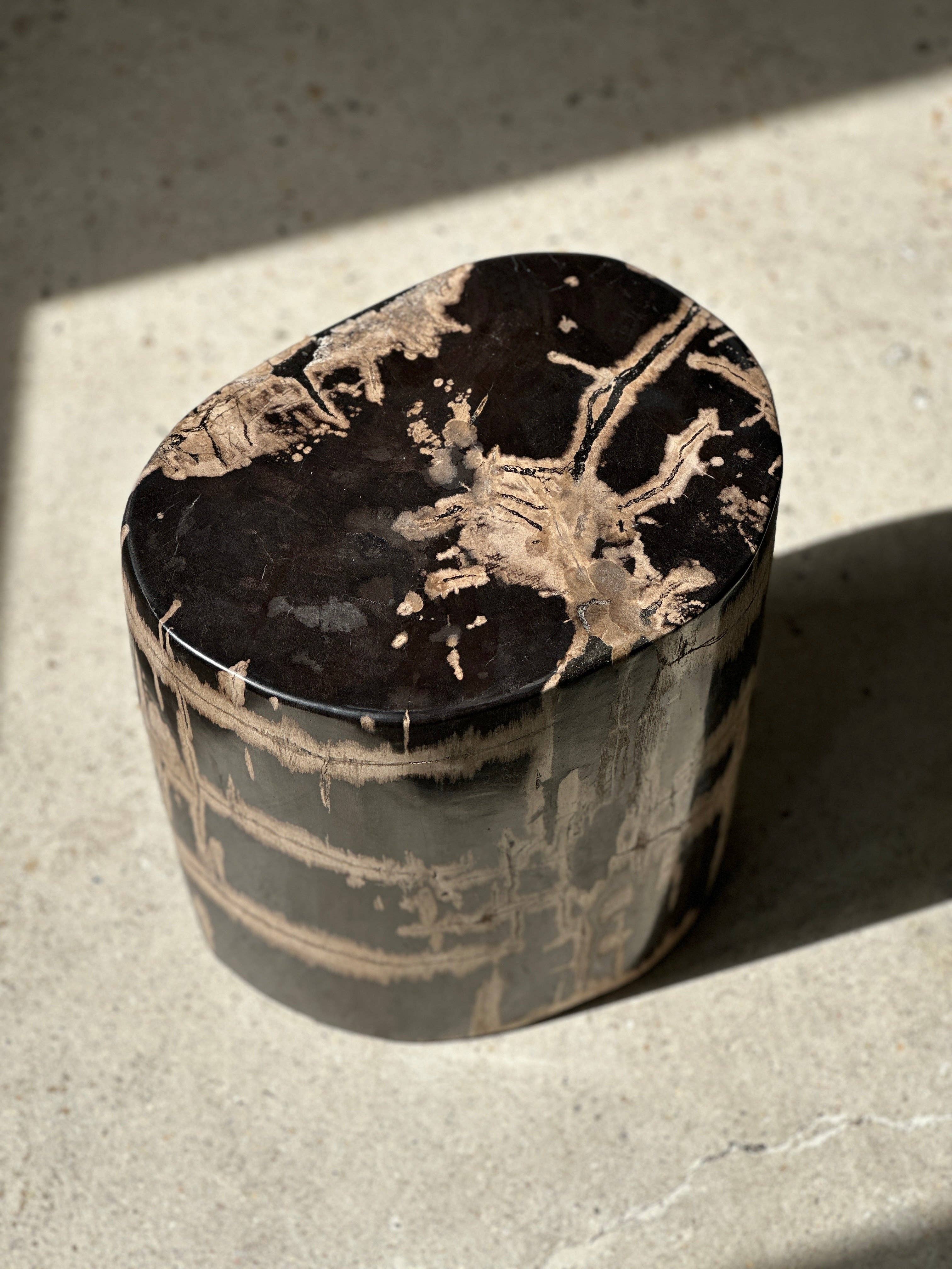 Office Objets - Vente Tables d'appoint - Table d'appoint en bois pétrifié28