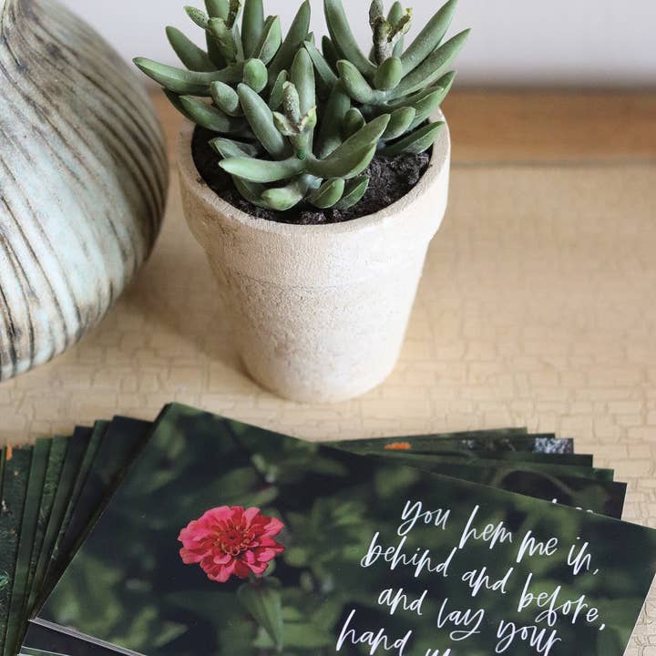 Caminhando pela ansiedade por atacado de Crew + Co