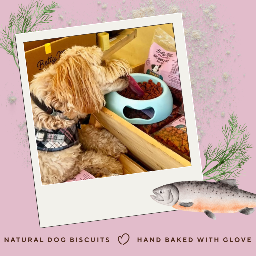 Betty Miller – wholesale Pet treats – Dog – Grain-Free Salmon & Dill Mini-Paws 7.5kg2