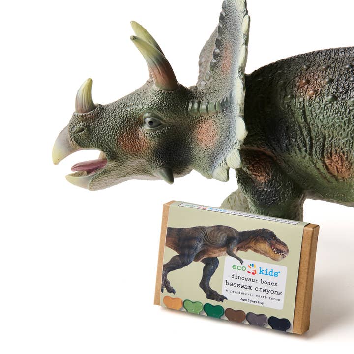 elseware unplug / eco-kids - Wholesale Crayons - Kids & Baby - Beeswax Crayons - Dinosaur Bone - 6 Eco-Friendly Colors3
