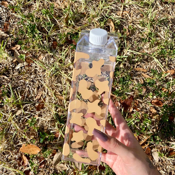 Paulakoalaco - Vendita all'ingrosso Borracce - Cartone di latte di mucca7