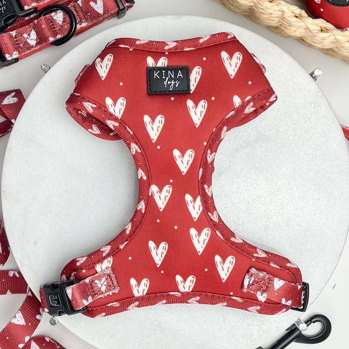 Kina Dogs - Vendita all'ingrosso Pettorina - Cani - Imbracatura regolabile 'ROMEO' per cani0
