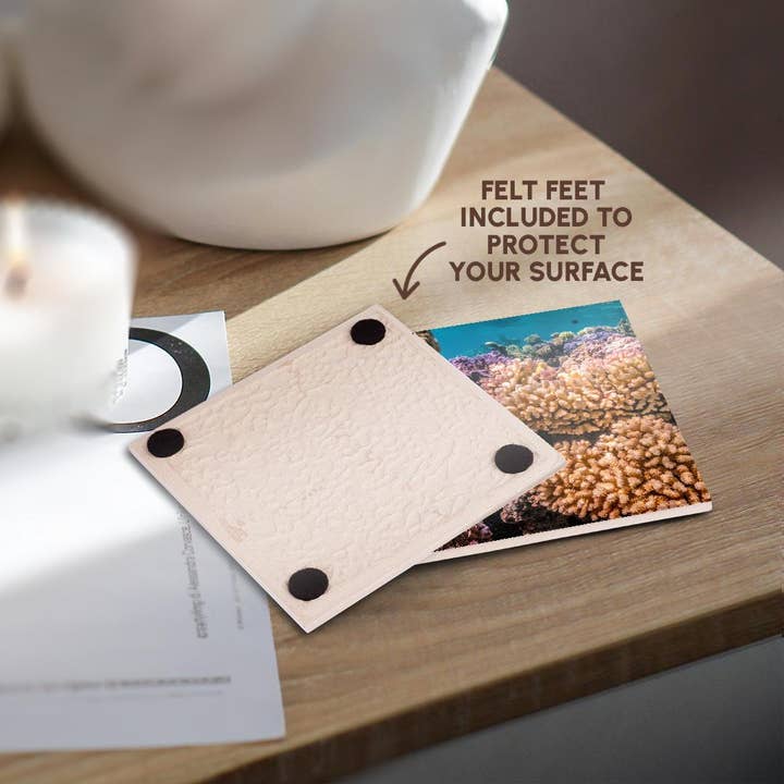 3dRose - Wholesale Coasters - 3dRose, French Polynesia, Bora Bora. Closeup coral garden., Coaster3