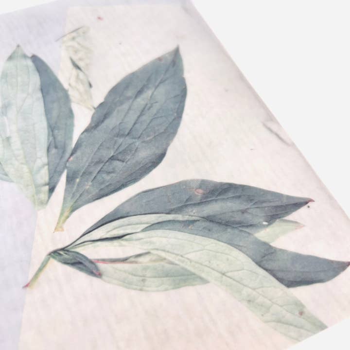 HELLO ARTIST DIY - Wholesale Craft Supplies - Transparent Papers – Botanical Series4