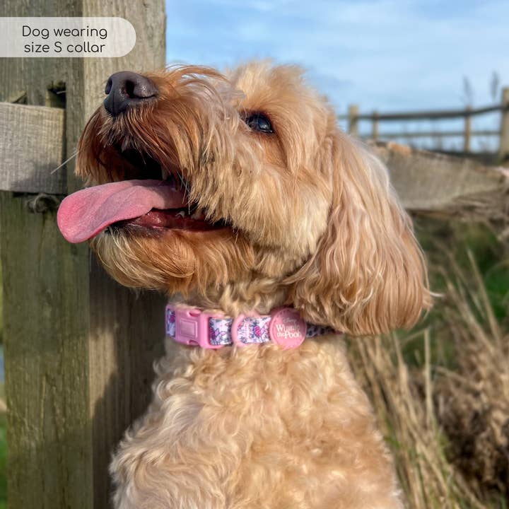 Pawsome Paws – Engroshandel Halsbånd - Hund – Disney© Halskæde - Smågris - Lyserød