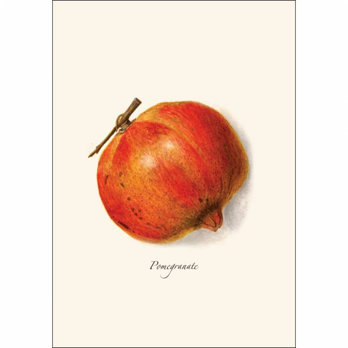 Earth Sky + Water - Wholesale Stationery/Notecard Set - Pomegranate1