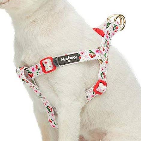 Sommerliches Blumen-Hundegeschirr für Hündinnen für den Großhandel von Blueberry Pet