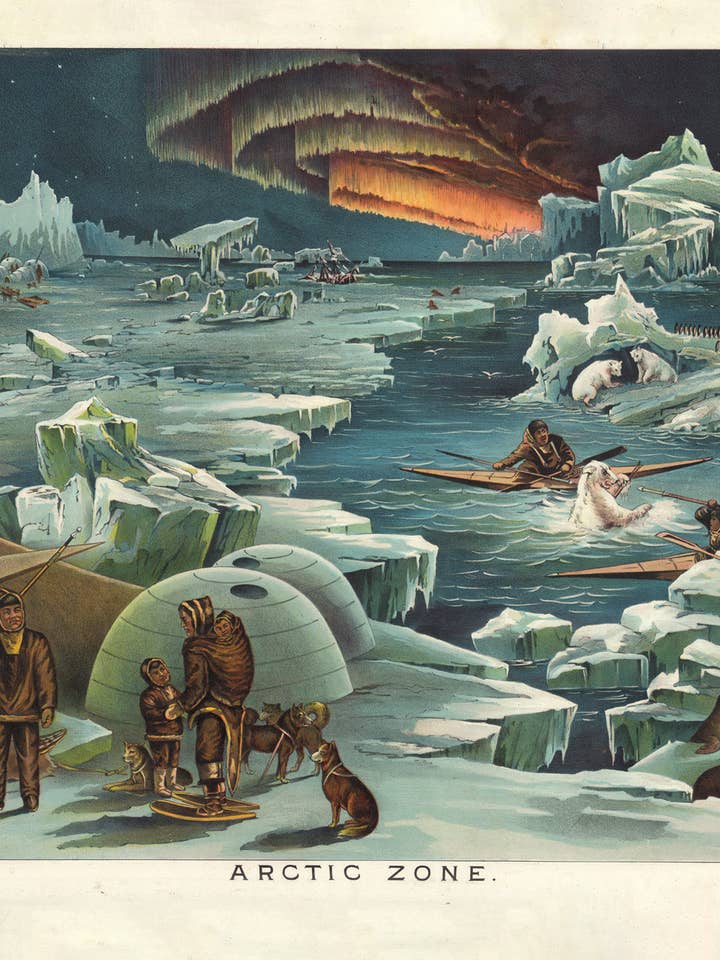 Postkarte Arktische Zone (230620) für den Großhandel von The Knowledge of Things by Catch Publishing