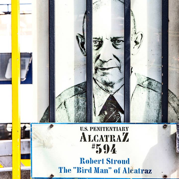 Birdman Exhibit keramische onderzetter voor wholesale door South Austin Gallery