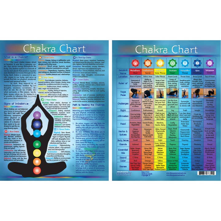 Information Chart English Chakras (Each) for wholesale by Kheops International
