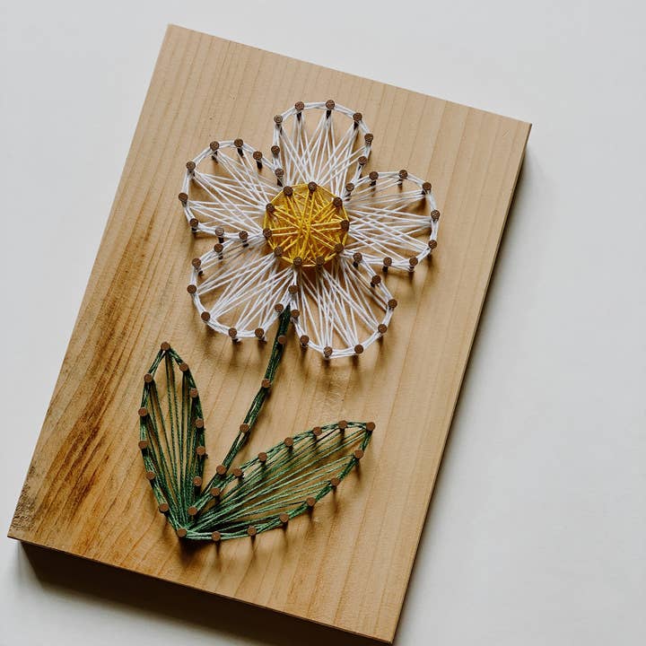 Knot Really Art - Wholesale DIY Craft Kit - Daisy DIY String Art Kit