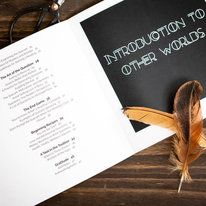 Taming the Tangle - Wholesale Body, Mind & Spirit - A Beginner's Guide to Bone Throwing, divination guide book2