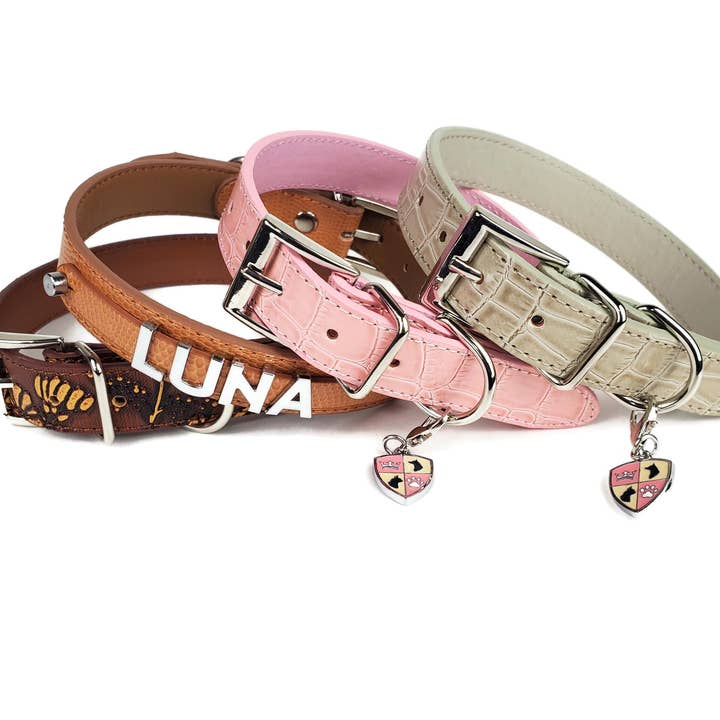 House of FurBaby - Wholesale Pet Collar - Cat/Dog - DIY Pet Collar Bar Starter Pack - High Desert- 280 Pieces7