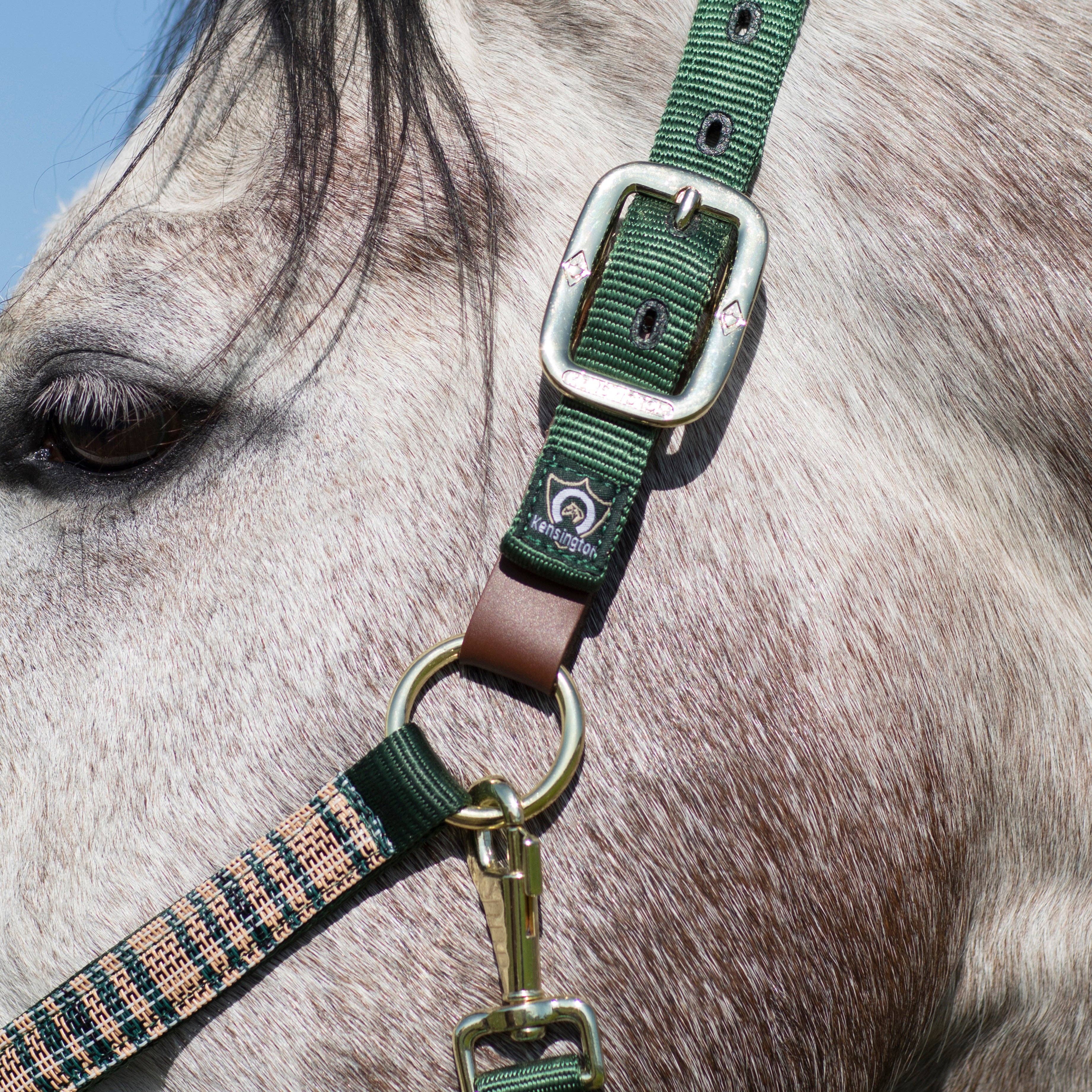 Kensington - Wholesale Horseback Riding Gear - Leather Breakaway Pack of 32