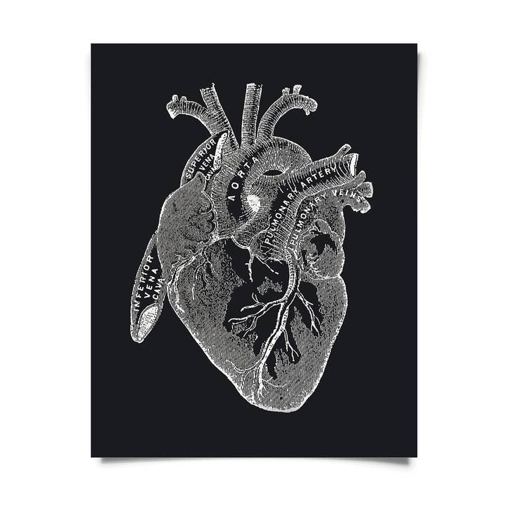 Vintage Anatomy Heart Diagram Black Print w/ optional frame for wholesale by Curious Prints