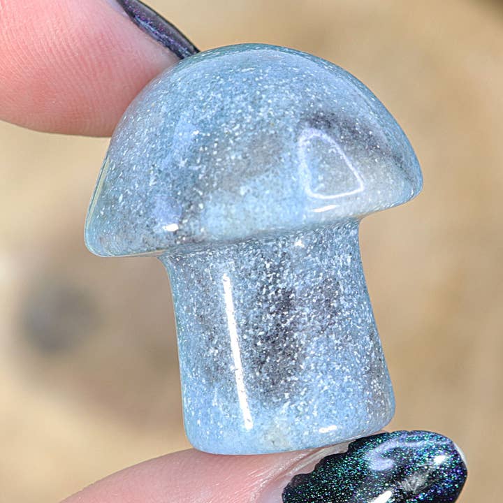 Trolleite Mushroom for wholesale by Natures Artifacts Inc