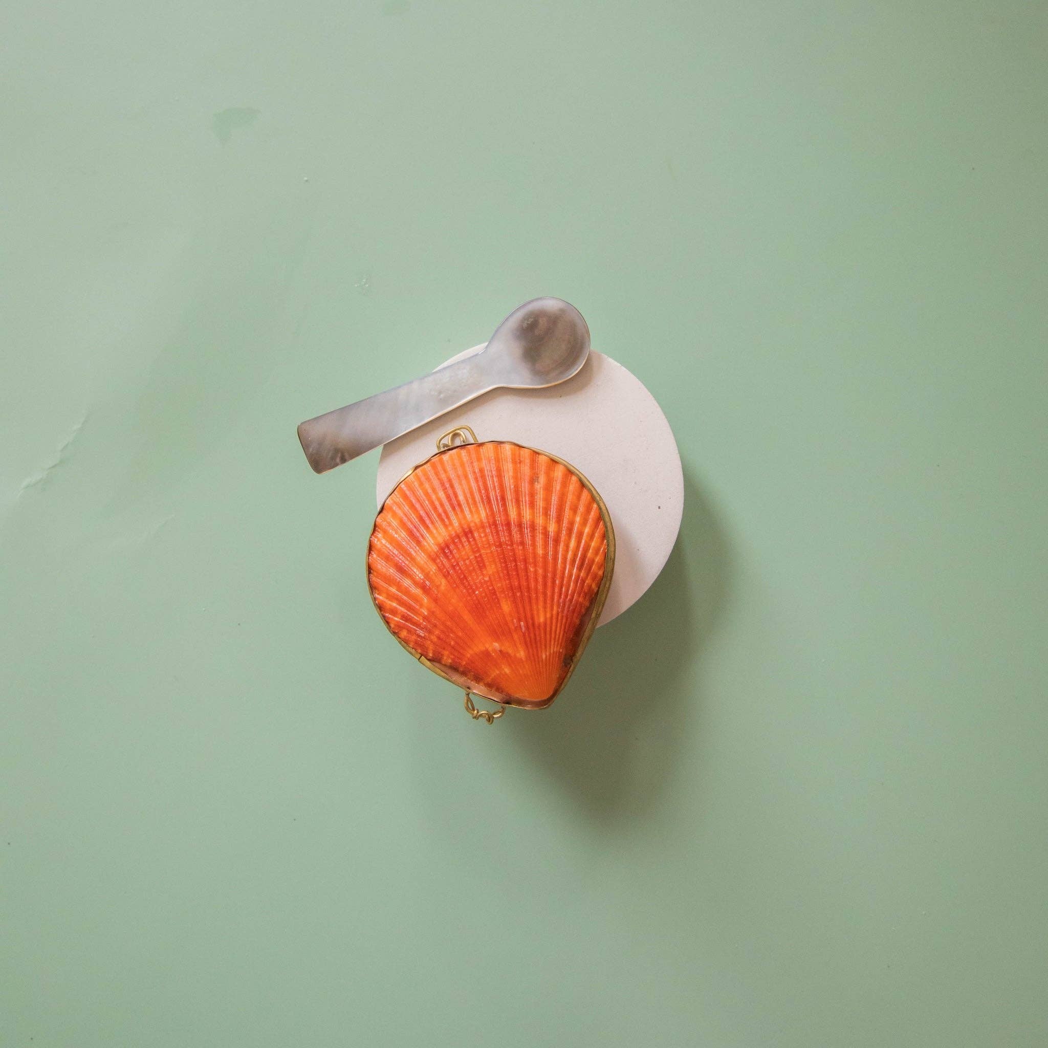 Earth tu Face - Vente Rouleau beauté/visage - Nouveau prix ! Cuillères en coquillage4