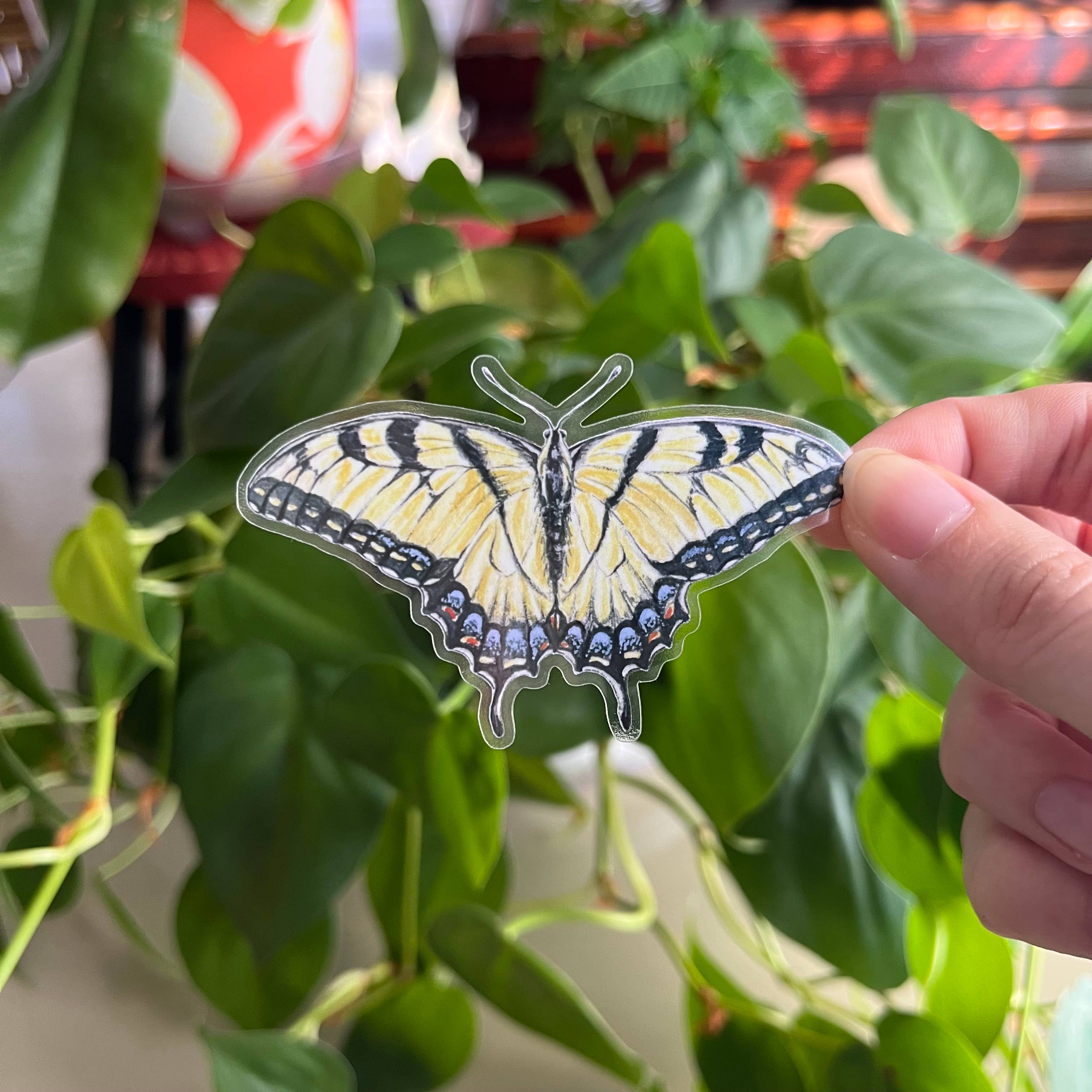 Lauren Noel Studio - Wholesale Sticker - Tiger Swallowtail Butterfly Sticker