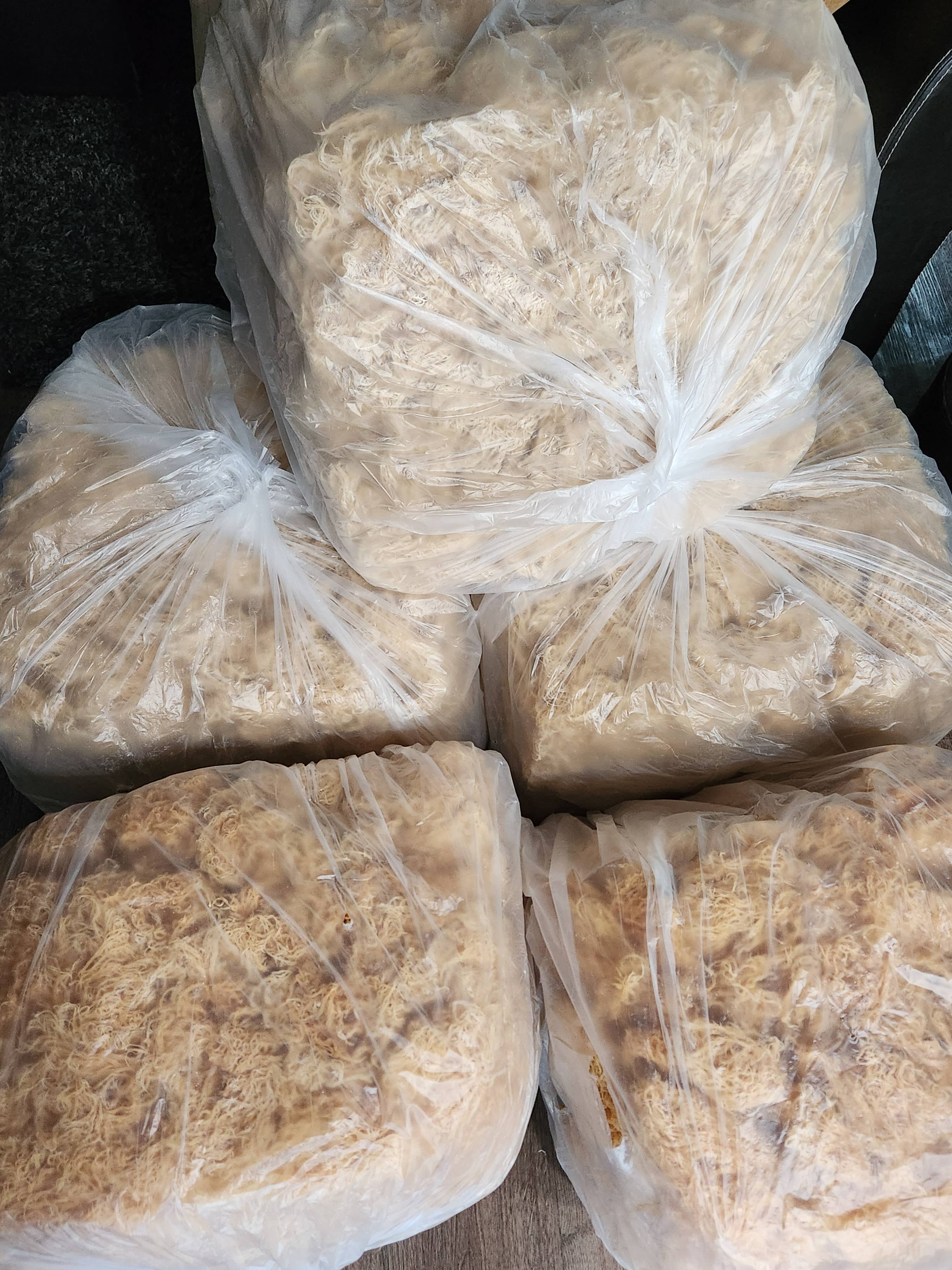 Sea Moss Organics LLC – wholesale Oral supplement/vitamin – Wildcrafted Gold Irish Sea Moss Bulk from St. Lucia1