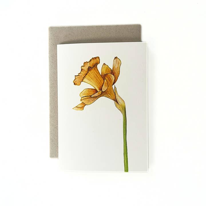 Greeting card 'Daffodil' for wholesale by studio Pronckstuk