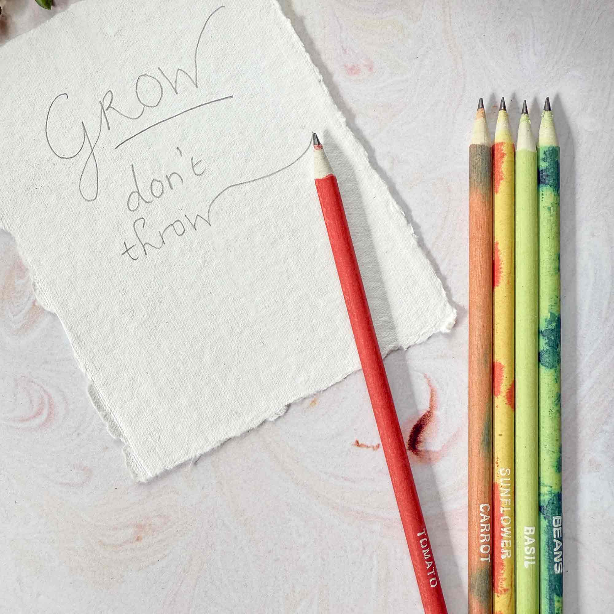 The Natural Paper Company – wholesale Pencil – Plantable Pencils - Set of 5 | Tube of Recycled Paper Pencil1